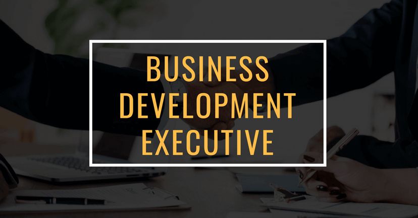 [HN] BellSystem24 Hoa Sao - Nhân viên phát triển kinh doanh - BD Executive
