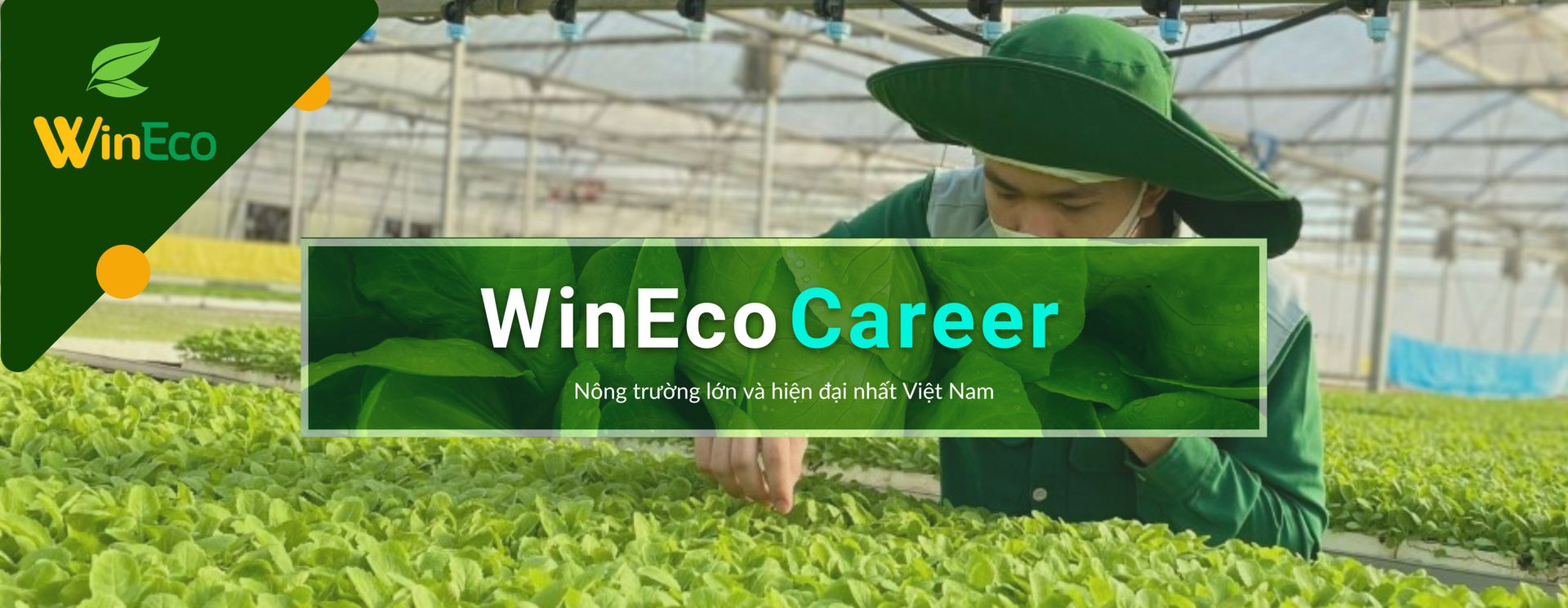 Nhân viên Kỹ thuật Sản xuất