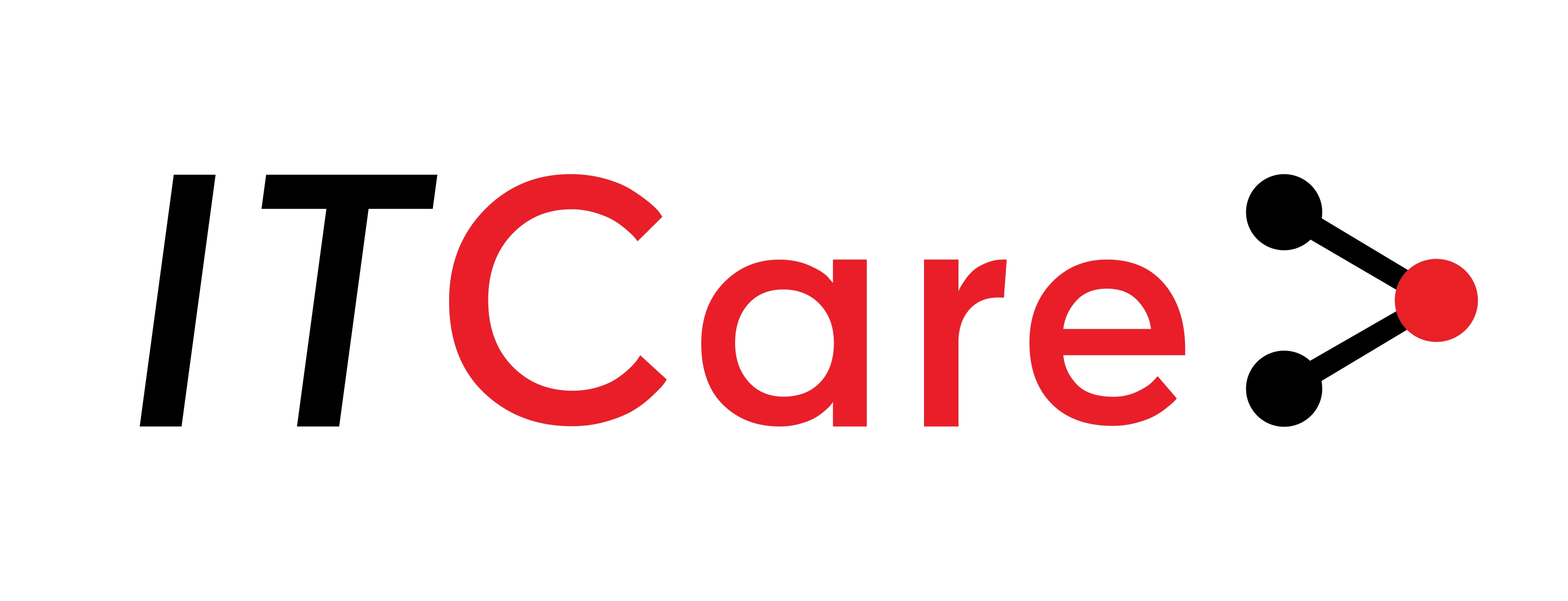 IT Procurement Supervisor